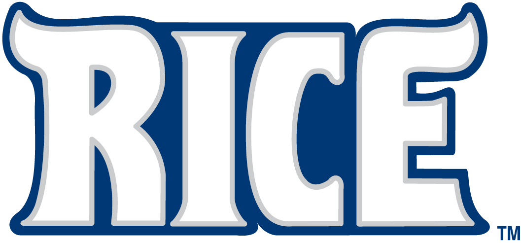 Rice Owls 2003-2009 Wordmark Logo DIY iron on transfer (heat transfer)